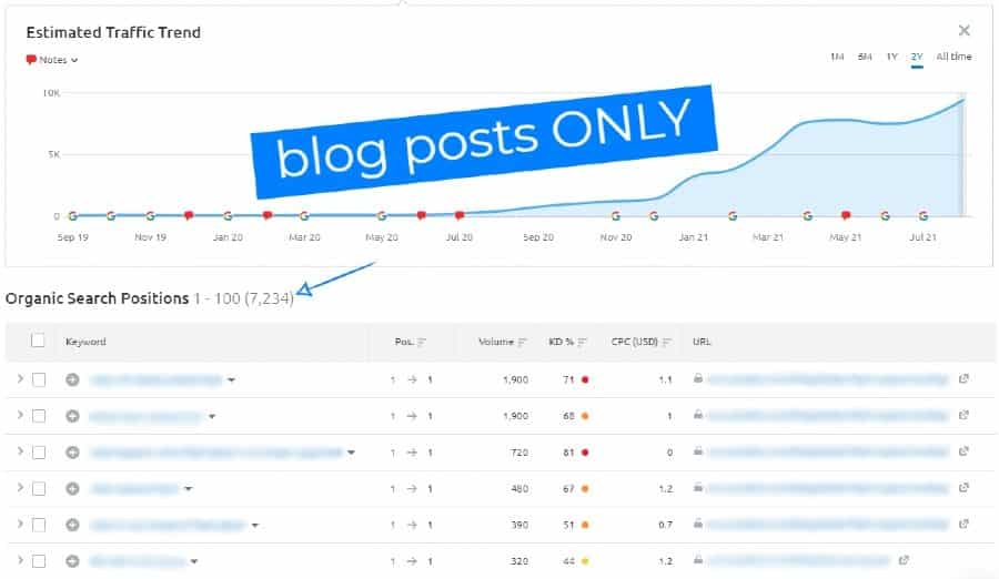 SEO traffic from blog content on a business website
