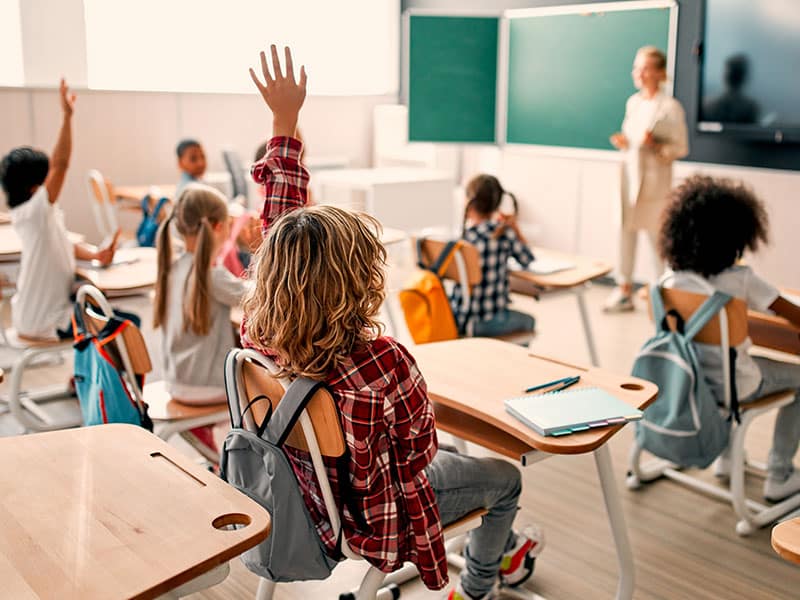 School Website Design